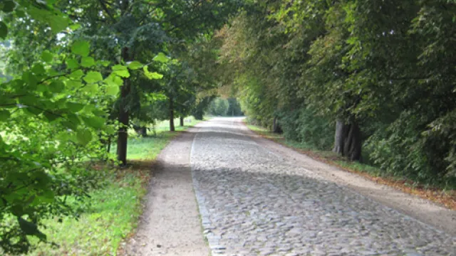 Ludwigslust Parchim 500