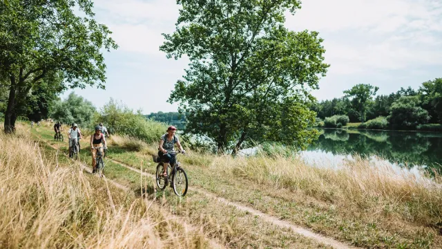 [DE Copy] Rheininsel