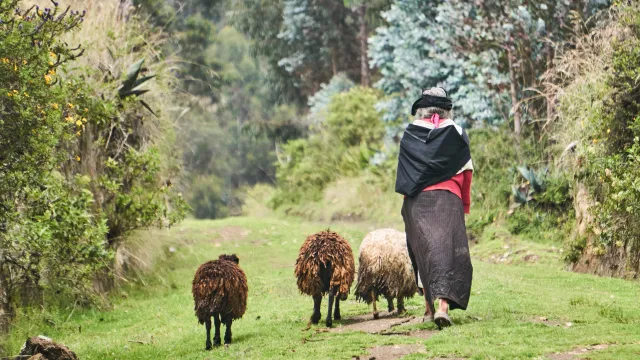 Land rights of indigenous communities
