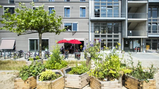 [DE Copy] Allzeitorte_Wartezimmer