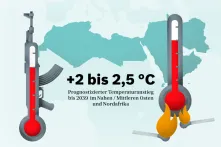 Infografik-Teaser DE