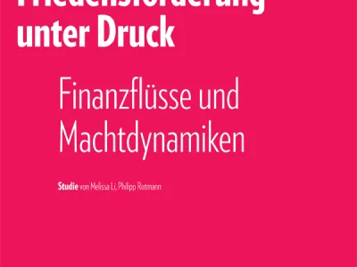 210126_Studie_LokaleFriedensförderung_GPPI-1.png