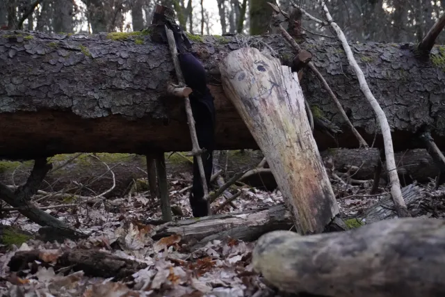 Eine Holzskulptur mit lachendem Gesicht lehnt an einem Baumstamm im Wald zwischen Polen und Belarus