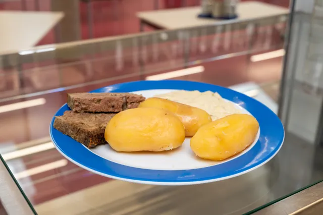 Teller mit Kartoffeln und Hackbraten