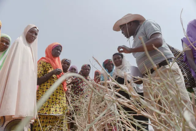 COP27_Niger-Workshops