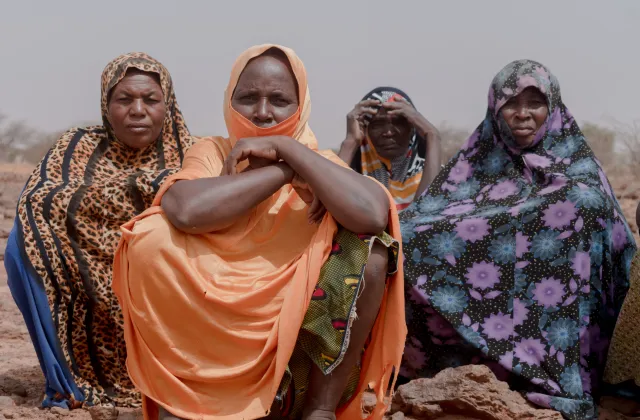 Frauen im Niger