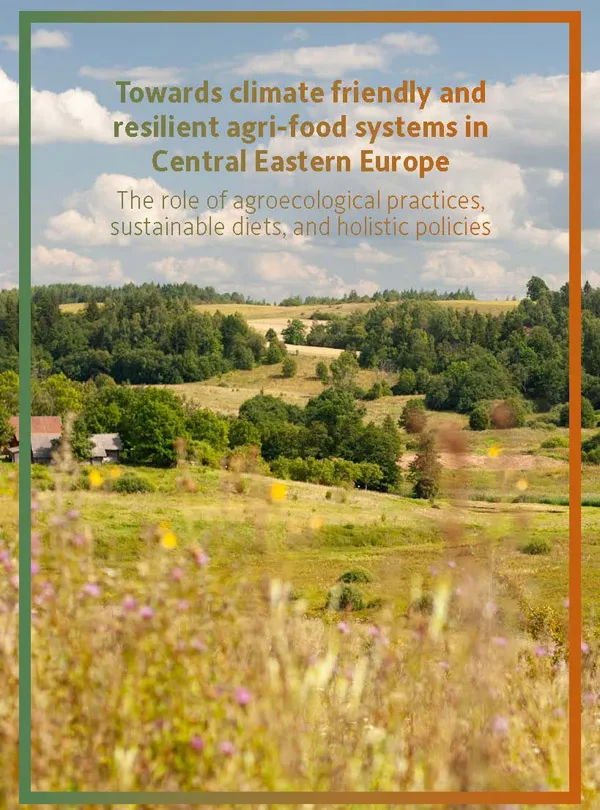[DE Copy] ecologic_Abschlussbericht_Cover
