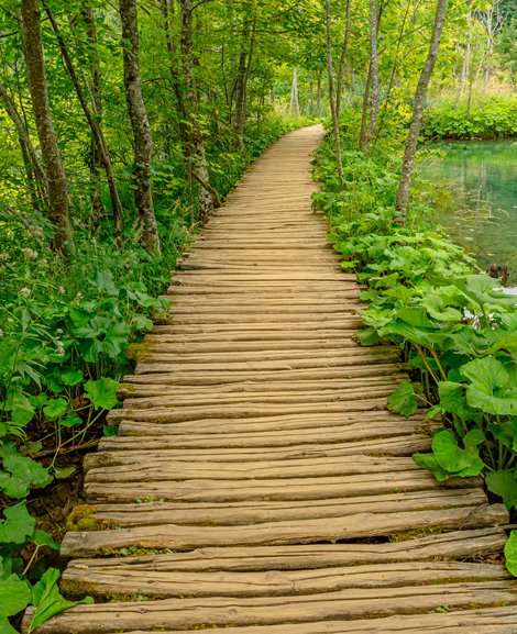 A wooden walk through Plitvice Lakes National Park in Croatia