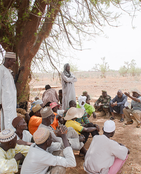 People discussing under a tree in Africa